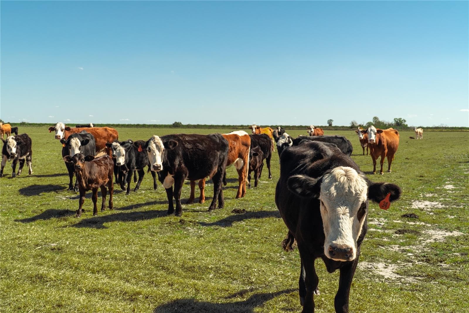 50-acre Farm Ready Land
