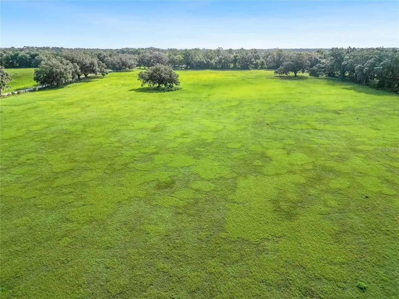 Stunning 10-Acre Land